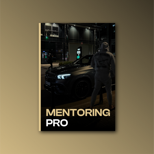 MENTORING PRO